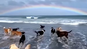 May your 2025 be like this... | Jonathan Blank Films