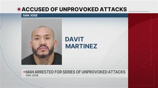 San Jose man arrested in series of unprovoked assaults | Haystack News
