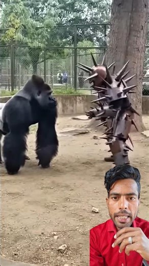 BOXING TEST ... Metal Suit Meets Reality😱🦧