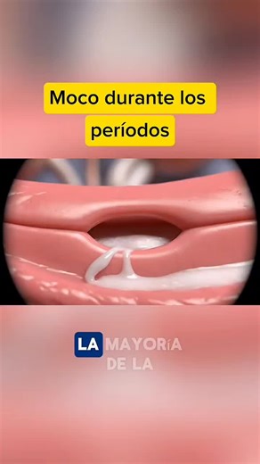 Moco durante los períodos‼️ #newborn #embarazo #baby #pregnancytiktok #pregnancy