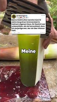 Meine Stiefmutter nannte mich 10 Jahre lang einen Schmarotzer in meinem eigenen Haus. Ihr Gesicht wa