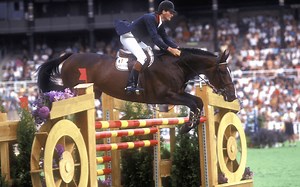 Dressage, Historical Rule - 1990 FEI World Equestrian Games ™ - 1990 | Videos, Live Streams, Films and Shows | ClipMyHorse.TV