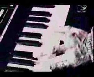 Kicks Like A Mule - The Bouncer