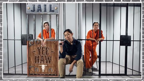 Fabric Jail Backdrop for Photography Jail Photo Prop Prison Cell Photo Booth Frame Prison Banner Wild West Jail Background Western Cowboy Cowgirl Party Favor Mugshot Crime Party Supplies 63x27Inch