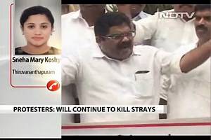 Dangling Dead Dogs On A Pole, Kerala Activists Protest Stray Menace |