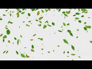 green leaves falling croma key,blue screen video
