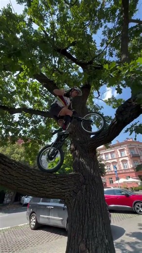 Insane Bike Stunt: Man Rides Bicycle Up A Tree #chinavlog #chinesekungfu