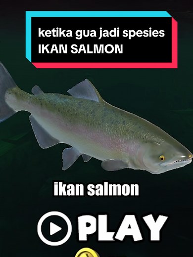 Bergabung dengan Ikan Tiger di Game Fish Feed and Grow