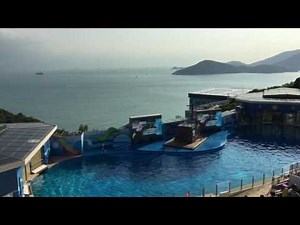 CRISIS 特別搜查隊片尾曲音樂讚歌