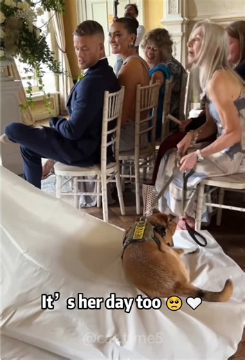 Adorable Dog Guest at the Wedding Celebration