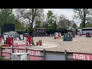 Cheval à vendre - Jument sport cso 4 ans - equirodi.com