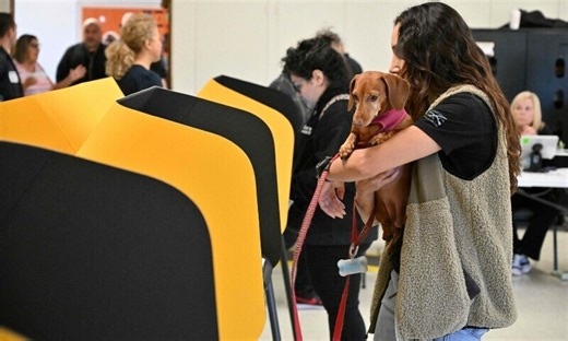 How does the voting process work in US elections?