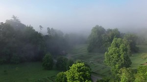 Who knew that a farm in Vermont and a farm in Tennessee could have so many similarities? We were so excited to welcome Tata Harper Skincare to Blackberry Farm! Enjoy this video showcasing our garden as well as Tata Harper's rows. #BlackberryFarm | Blackberry Farm