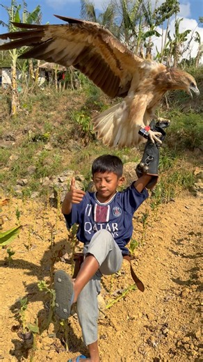 The big eagle landed with beauty and speed when called by the tarzan boy #animals
