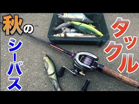 シーバス釣り 〜ビッグベイトタックル紹介編〜