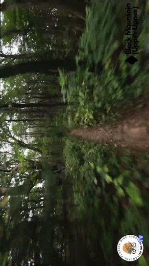 First Descent - Black Mountain (Upper Upper) - Pisgah National Forest - North Carolina MTB Trip #mtb