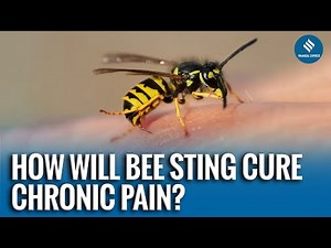 Kenya’s Bee Sting Therapy Offers Pain Relief Where Modern Medicine Falls Short
