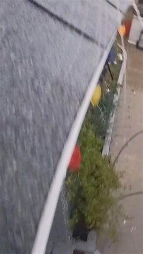 Paris tries to catch raindrops by hanging off the edge of a neighbor’s roof.#catcam #raindrops #pov