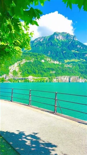 Relaxing Nature & Animals in 4K | Cinematic Ultra HD SceneryWildlife & #village #8kultrahdvideo