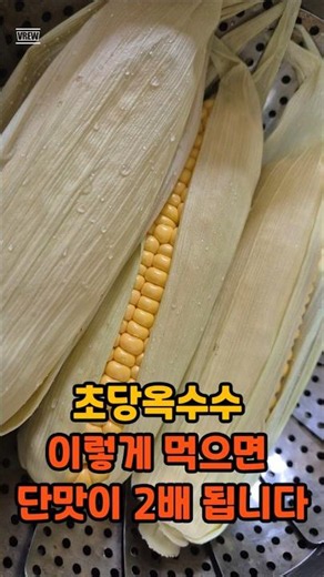 초당옥수수 이렇게 먹으면 단맛이 2배 됩니다🌽