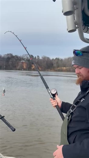 Master Catfishing with Piscifun Casting Reels