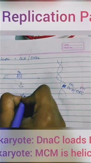 DNA replication Part -1 #shortsfeed #shortvideo #shorts