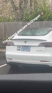 20K views · 76 reactions | The things you see in Oregon #tesla #oregon #usa | Traveling the world to see inspiration | Facebook
