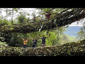 Finally root bridge 😍 | Meghalaya