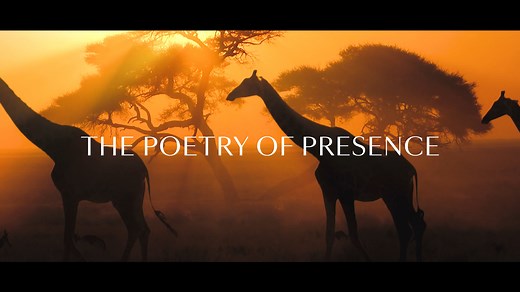 World Cruise 2028, An ode to the moment