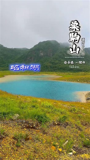 栗駒山須川コースが7月18日に立ち入り規制が解除され、7年ぶりに全面開通したと言うことで行って来ました⛰️昭和湖の美しい水の色 エメラルドブルーでした✨山頂はガスで真っ白でした😅#栗駒山 #登山
