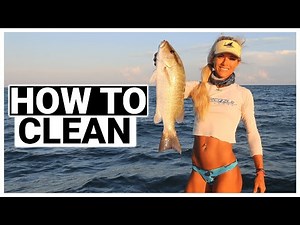 How To Clean Mangrove Snapper To Cook Whole