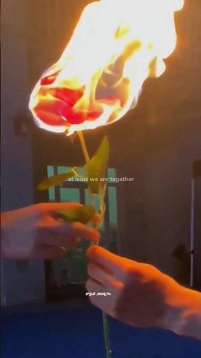 Alone - Alan Walker I lyrics l aesthetic I whatsapp Status | English songs I slowed Isped up #lyrics