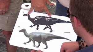 Watch Xploration Awesome Planet Season 1 Episode 8 - Evolving Earth