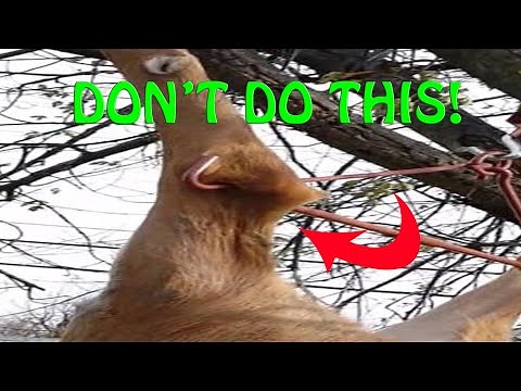 HOW I HANG A DEER On A Gambrel-Best Way To Hang A Game Animal For Processing