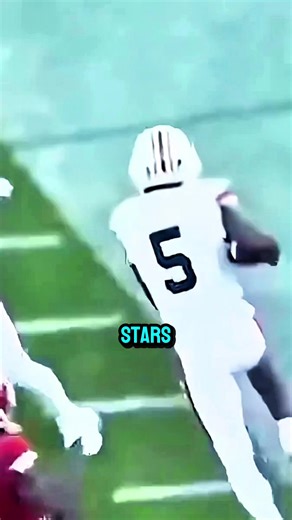 NFL Football Highlights