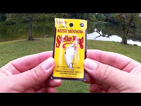 Strike King Bitsy Minnow VS Gulp Alive Minnow - Fishing With Minnows!
