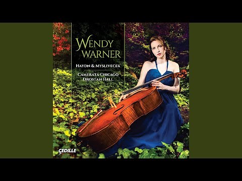 Cello Concerto No. 2 in D Major, Op. 101, Hob. VIIb:2: II. Adagio