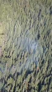 1.4K views · 32 reactions | Welcome back to Yosemite Science! Brian...