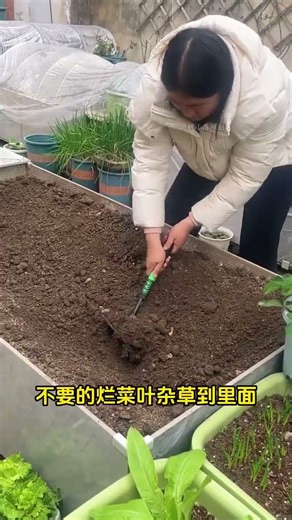 Kitchen waste, peppers, and dead branches and leaves can all be fermented into fertile soil #compost