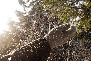 Reusable Hand Warmers: How They Work, and Which Ones We Suggest