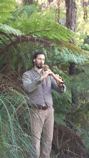 17K views · 1K reactions | The beginning of autumn  #autumn #equinox #flute #healingfrequencies #forest #ferns | Christian Dimarco Music | Facebook