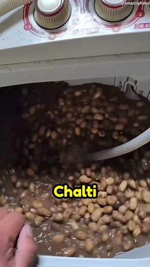 Washing Peanuts in a Washing Machine • The Problem: Peanuts, especially those harvested from the ground, are often covered in dirt and mud that needs to be thoroughly cleaned before they can be processed or eaten. Manually washing large quantities is time-consuming and labor-intensive 😅😁😂 #rankajchaudhary #fblifestyle | Rankaj Chaudhary