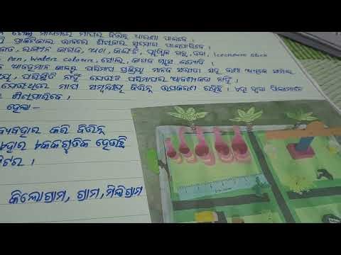 Measurement Park 🏞️ Project written process