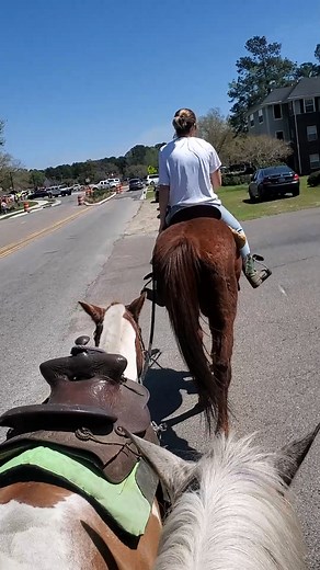2.1M views · 10K reactions | School pick up on a horse  | Lessons Learned In Life | Facebook