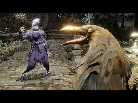 birds for some reason (3D Animated)