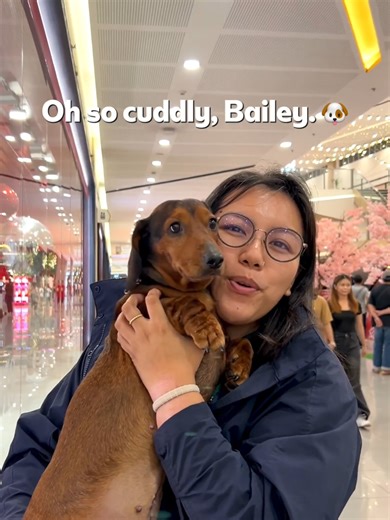 Fur Parents' Guide to Memorable Moments at SM Supermalls