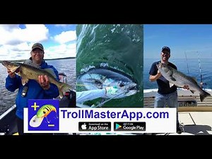 Troll Master App - Overview and features