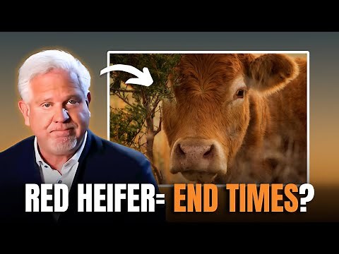 The "Red Heifer Prophecy" Explained and What Happens if it Occurs?