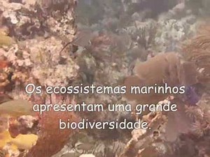 A DIVERSIDADE BIOLÓGICA ANGOLANA: FAUNA AQUÁTICA DE ANGOLA
