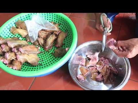 Eating Rat Meat: A specialty dish of rice-farming people.